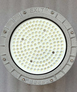Đèn Led Nhà Xưởng Chống Cháy Nổ 100w (TDL-WF1) Thành Đạt Led