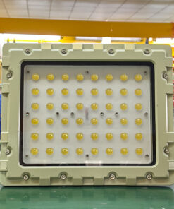 Đèn chống cháy nổ 100w (TDL-GJK-TGD) Thành Đạt Led