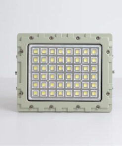 Đèn chống cháy nổ 70w (TDL-GJK-TGD) Thành Đạt Led