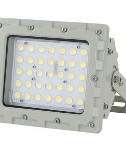 Đèn chống cháy nổ 50w (TDL-GJK-TGD) Thành Đạt Led