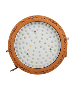 Đèn Chống Nổ 100w (TDL-YFGKD) Thành Đạt Led