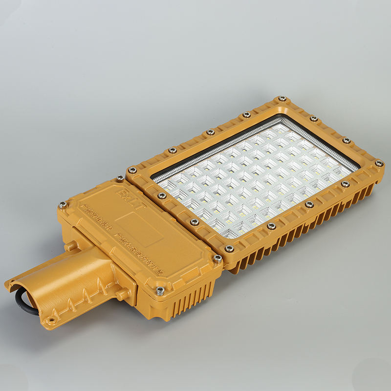 Đèn đường led chống cháy nổ 100w ( TDL-GBKFBLD ) Thành Đạt Led