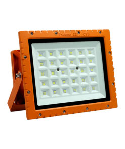 Đèn Pha Led Chống Nổ 50w SMD (TDFCN-EX2/50) Thành Đạt Led